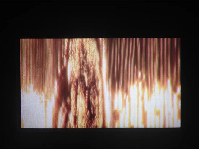 Screenshot from HD video